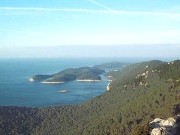 Isola di Mljet - il mare